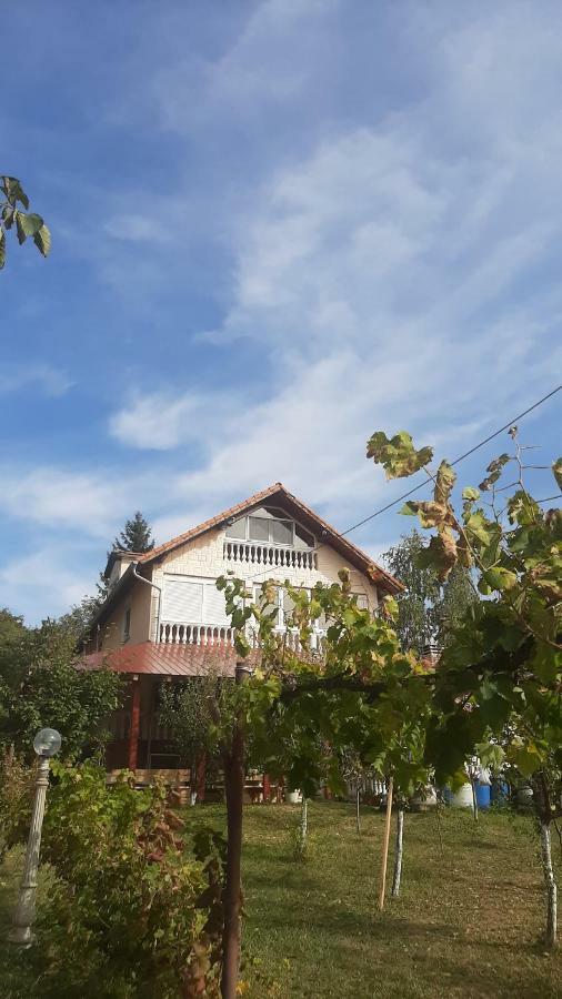 Aleksandar Vila Br Vrdnik Exterior photo