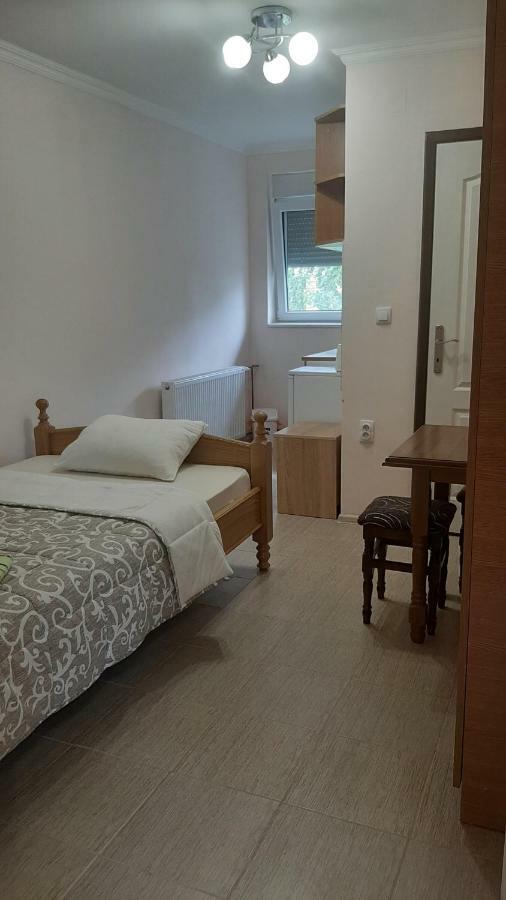 Aleksandar Vila Br Vrdnik Room photo