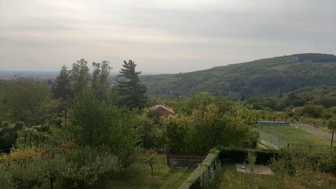 Aleksandar Vila Br Vrdnik Exterior photo