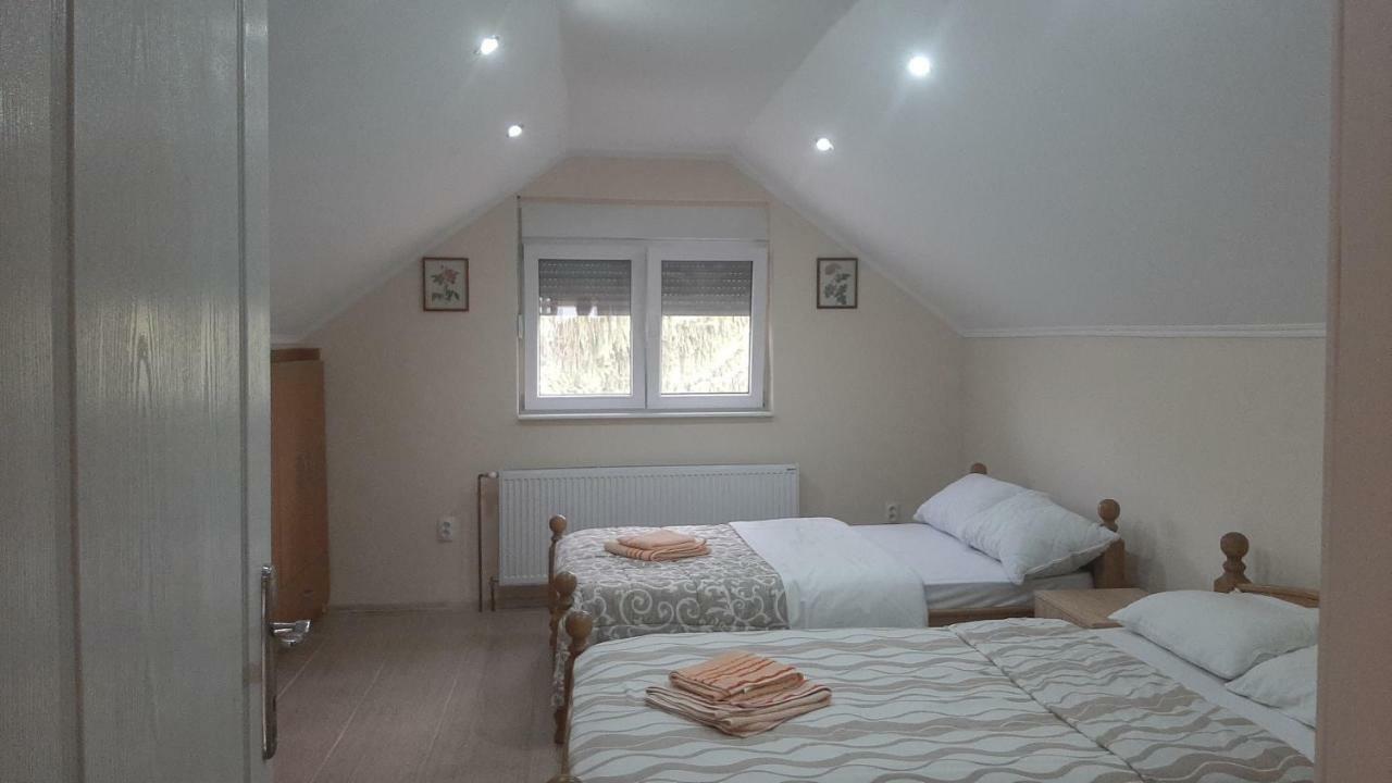 Aleksandar Vila Br Vrdnik Room photo